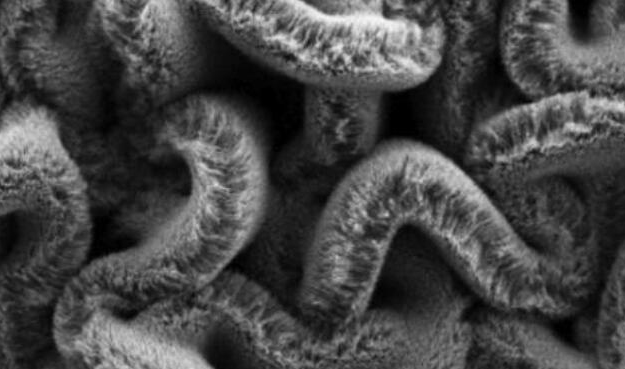 行业新闻：：：可拉伸的超等电容器，，为柔性可衣着装备铺路